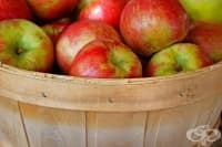 ������ � ������� �� ��������